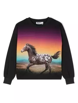 Molo футболка Reniza с принтом, черный