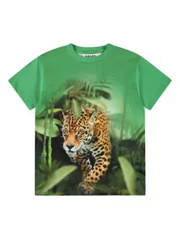 Molo футболка Riley, зеленый