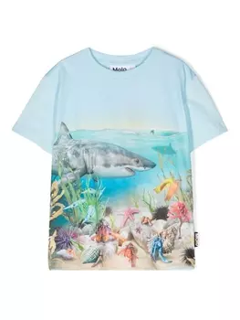 Molo футболка Roxo из органического хлопка, синий
