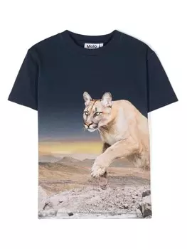 Molo футболка Roxo с принтом, синий