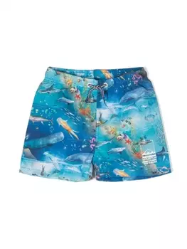 Molo плавки-шорты Niko с графичным принтом, синий