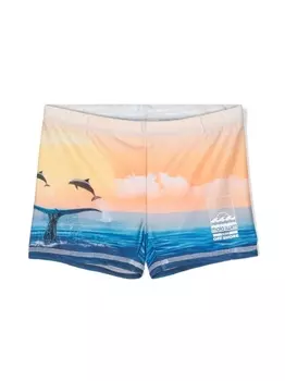 Molo плавки-шорты Norton Placed, синий