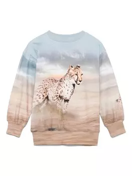 Molo толстовка Mattis, синий