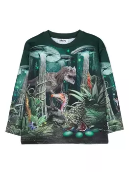 Molo толстовка Mountoo из органического хлопка, зеленый