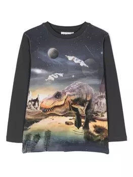 Molo толстовка Reif с графичным принтом, серый