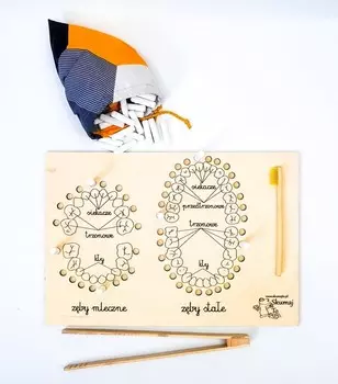 Молочные и постоянные зубы, виды зубов, штифты, щипцы, моторика. Inna marka