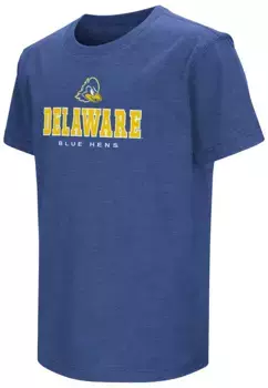 Молодежная футболка Colosseum Delaware Fightin' Blue Hens Royal
