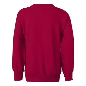 Молодежная толстовка с круглым вырезом Hanes Ecosmart, цвет Deep Red