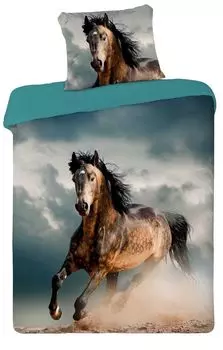 Молодёжное постельное белье Faro 05 Best Friends Horse комплект 140х200см + подушка 70х90см