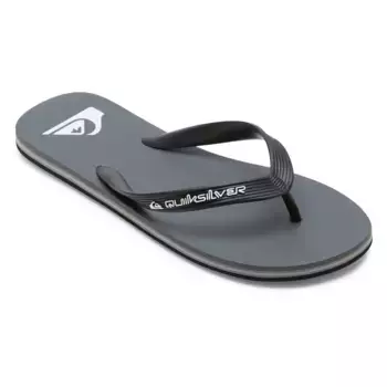 Molokai Core Quiksilver мужские шлепанцы, серый