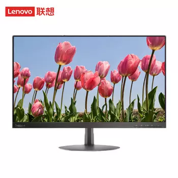 Монитор Lenovo ThinkVision T24a-10 23,8" Full HD с двойным интерфейсом VGA+HDMI