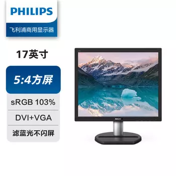 Монитор Philips 170S9 17" 5:4