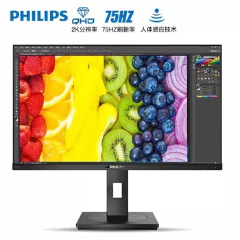 Монитор Philips 245B1 23,8" 2K со встроенными динамиками