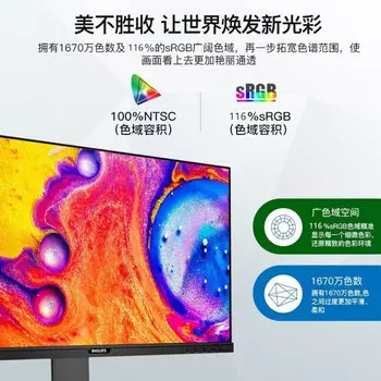 Монитор Philips 245B1 23,8" IPS 2K 75Гц