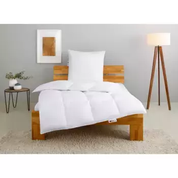 Моя домашняя кассетная кровать + подушка «RINA, пуховое одеяло 135х200 и 155х220 см, 2 шт.», (экономный комплект), комплект с подушками 40х80 см, 80х80 см на осень, зиму, производство Германия My Home, белый