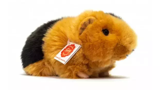 Морская свинка черный/золотой 20 см