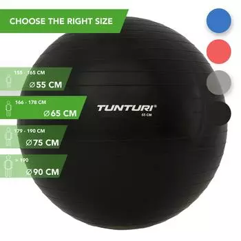 Мяч для фитнеса - мяч для упражнений - швейцарский мяч - с насосом TUNTURI, серебро/серебро