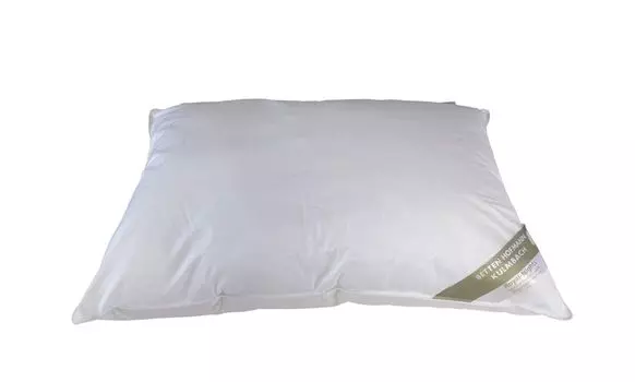 Мягкая пуховая подушка Hofmann Franken 60х80 см 450г 100% пух Betten Hofmann