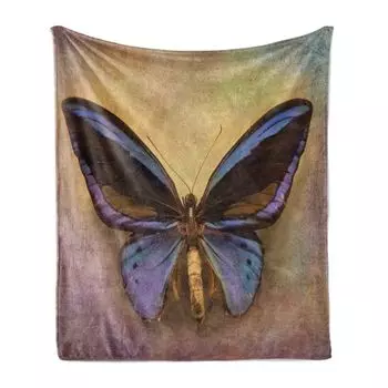Мягкое фланелевое флисовое одеяло ABAKUHAUS Butterfly, винтажный британский гранж-викторианский фотопринт с бабочкой-монархом, 175 x 230 см, многоцветный