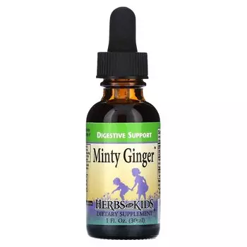 Мятный имбирь Herbs for Kids, 30 мл