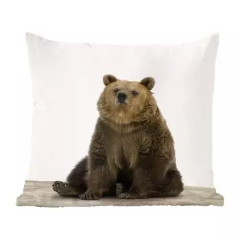 MuchoWow Animal Print Shop - Сидящий медведь с животным принтом детский сад - 40x40 см - чехлы на диванные подушки - без наполнителя