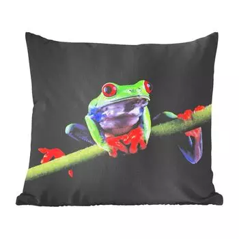 MuchoWow Animals - портрет лягушки на черном фоне - 60х60 см - чехол на подушку - хлопчатобумажная ткань - декоративные чехлы на подушки