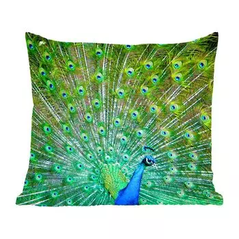 MuchoWow Beverly Hills - перья павлина с сине-зеленым - 45x45 см - чехлы на подушки - чехлы декоративные - чехлы декоративные