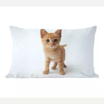 MuchoWow Cats - Little Red Kittens - 50x30 см - Чехлы для диванных подушек - без наполнителя