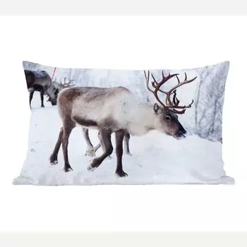 MuchoWow Christmas - рождественская картина с оленями на улицах Кильписъярви в Финляндии - 50х30 см - чехлы на диванные подушки - без наполнителя
