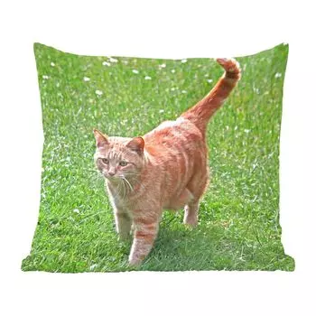 MuchoWow Декоративная подушка Диванная подушка Декоративная подушка для гостиной 40 x 40 см Кот - Красный - Кот - Девочки - Дети - Мальчики - Ребенок - Чехлы на диванные подушки - без наполнителя