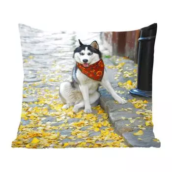 MuchoWow Декоративная подушка Диванная подушка Декоративная подушка для гостиной 45 x 45 см Собака - Осень - Хаски - Чехлы на подушки - Декоративные чехлы на подушки - Декоративные чехлы на подушки