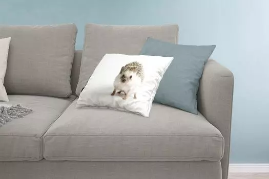 MuchoWow Декоративная подушка Диванная подушка Декоративная подушка для гостиной 60 x 40 см Маленький ежик для белого фона - Чехлы на подушки - Декоративные чехлы на подушки - Декоративные наволочки