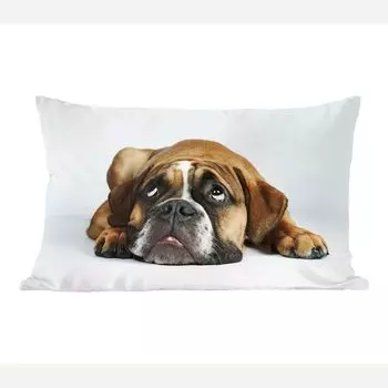 MuchoWow Декоративная подушка Диванная подушка Декоративная подушка для гостиной 50 x 30 см Собака - Домашние животные - Белый - Чехлы на диванные подушки - без наполнителя