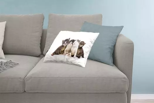 MuchoWow Декоративная подушка Диванная подушка Декоративная подушка для гостиной 60 x 40 см Кошка - Домашние животные - Мех - Портрет - Чехлы на подушки - Декоративные чехлы на подушки - Декоративные чехлы на подушки