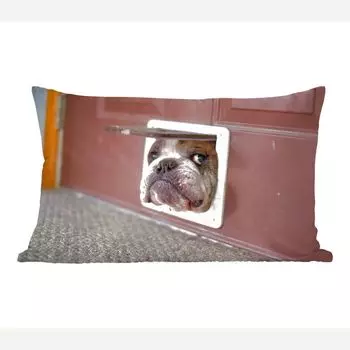 MuchoWow Декоративная подушка Диванная подушка Декоративная подушка для гостиной 60 x 40 см Собака - Забавная - Кошка Откидная створка - Дети - Мальчики - Девочки - Дети - Чехлы на подушки - Декоративные чехлы на подушки - Декоративные чехлы на...