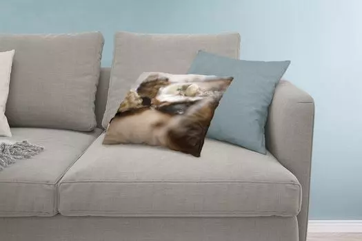 MuchoWow Декоративная подушка Диванная подушка Декоративная подушка для гостиной 60 x 40 см Жемчуг - Ракушка - Устрица - Чехлы для подушек - Декоративные чехлы для подушек - Декоративные чехлы для подушек