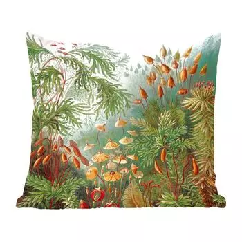 MuchoWow Декоративная подушка Диванная подушка Декоративная подушка для гостиной 50 x 50 см Muscinae - Ernst Haeckel - Растения - Наволочки - Украшение - Спальня