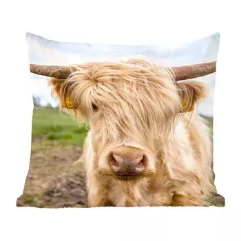 MuchoWow Декоративная подушка Диванная подушка Декоративная подушка для гостиной 60 x 60 см Шотландский горец - Светлый - Пейзаж - Чехол на подушку - Хлопчатобумажная ткань - Декоративные наволочки