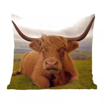 MuchoWow Декоративная подушка Диванная подушка Декоративная подушка для гостиной 40 x 40 см Шотландский горец - Животные - Горы - Чехлы на диванные подушки - без наполнителя