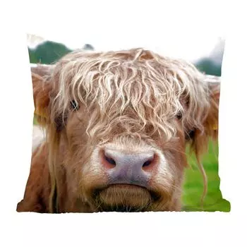 MuchoWow Декоративная подушка Диванная подушка Декоративная подушка для гостиной 60 x 60 см Шотландский горец - Трава - Лес - Наволочка - Хлопчатобумажная ткань - Декоративные наволочки, мультиколор