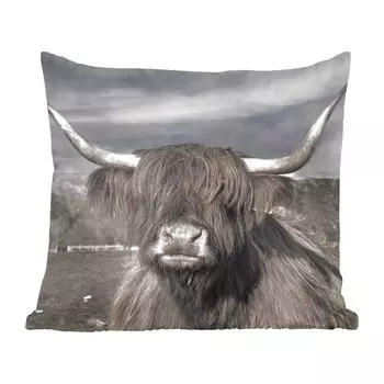 MuchoWow Декоративная подушка Диванная подушка Декоративная подушка для гостиной 40 x 40 см Шотландский горец - Животные - Рога - Чехлы на диванные подушки - без наполнителя