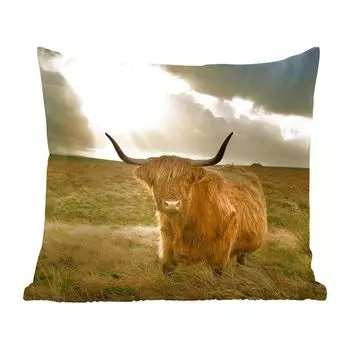 MuchoWow Декоративная подушка Диванная подушка Декоративная подушка для гостиной 45 x 45 см Шотландский горец - Солнце - Животные - Чехлы для подушек - Декоративные чехлы для подушек - Декоративные чехлы для подушек