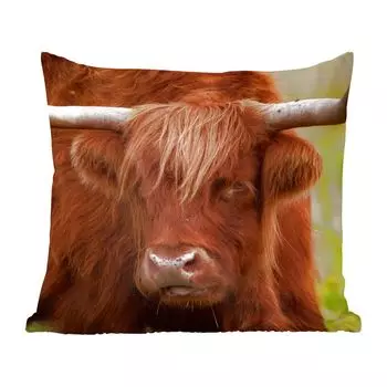 MuchoWow Декоративная подушка Диванная подушка Декоративная подушка для гостиной 60 x 60 см Шотландский горец - Оранжевый - Животные - Чехол на подушку - Хлопчатобумажная ткань - Декоративные наволочки