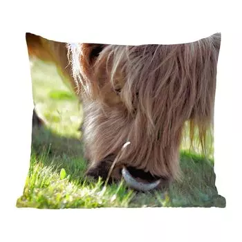 MuchoWow Декоративная подушка Диванная подушка Декоративная подушка для гостиной 40 x 40 см Шотландский горец - Рога - Солнце - Чехлы на диванные подушки - без наполнителя