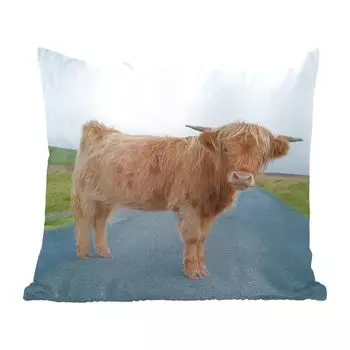 MuchoWow Декоративная подушка Диванная подушка Декоративная подушка для гостиной 60 x 60 см Шотландский горец - Улица - Трава - Чехол на подушку - Хлопчатобумажная ткань - Декоративные наволочки