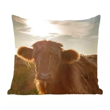MuchoWow Декоративная подушка Диванная подушка Декоративная подушка для гостиной 50 x 50 см Шотландский горец - Закат - Трава - Наволочки - Украшение - Спальня