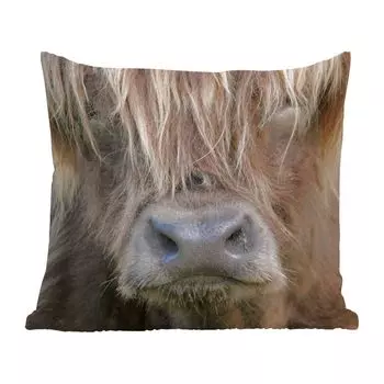 MuchoWow Декоративная подушка Диванная подушка Декоративная подушка для гостиной 45 x 45 см Шотландский горец - Коричневый - Нос - Чехлы для подушек - Декоративные чехлы для подушек - Декоративные чехлы для подушек