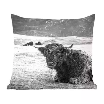 MuchoWow Декоративная подушка Диванная подушка Декоративная подушка для гостиной 45 x 45 см Шотландский горец - Горы - Животные - Чехлы для подушек - Декоративные чехлы для подушек - Декоративные чехлы для подушек