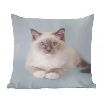 MuchoWow Декоративная подушка Диванная подушка Декоративная подушка для гостиной 50 x 50 см Кот - Рэгдолл Кот - Синий - Девочки - Дети - Мальчики - Дети - Чехлы на подушки - Украшение - Спальня