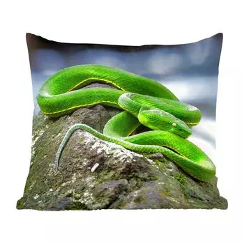 MuchoWow Декоративная подушка Диванная подушка Декоративная подушка для гостиной 45 x 45 см Зеленая змея на камне - Чехлы для подушек - Декоративные чехлы для подушек - Декоративные чехлы для подушек